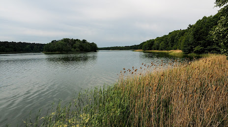 Wielkopolski National Park, Luboń
