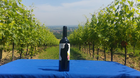Manaresi Agricoltura e Vini - Cantina/winery/wine estate, Monte San Pietro