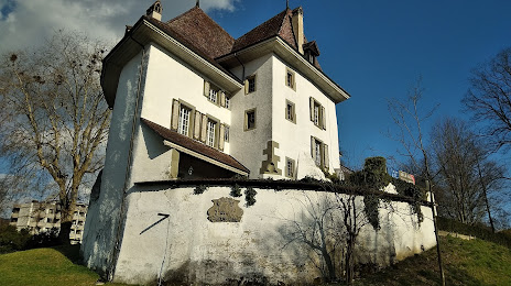Münsingen Castle, Münsingen
