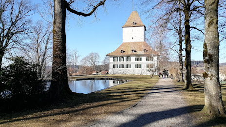 Wil Castle, Münsingen