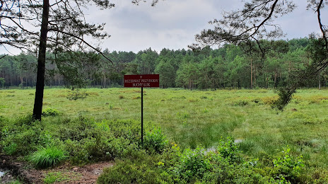 Rezerwat Przyrody Suchy Łuk, Leżajsk