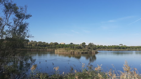 Parco dei Laghi di Porto Potenza, Potenza Picena