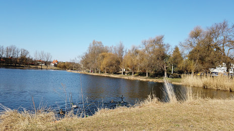 Veresegyházi-tó, Veresegyház