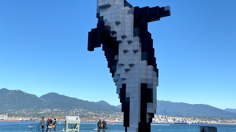 Digital Orca, Vancouver