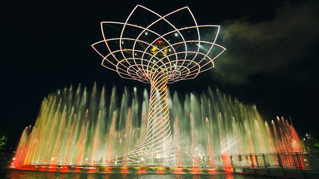 Tree Of Life, Arese