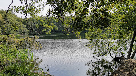 Obszar ochrony ścisłej Jezioro Kociołek, Mosina
