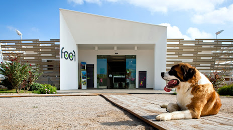 Foof Museum of the Dog Mondragone, Castel Volturno