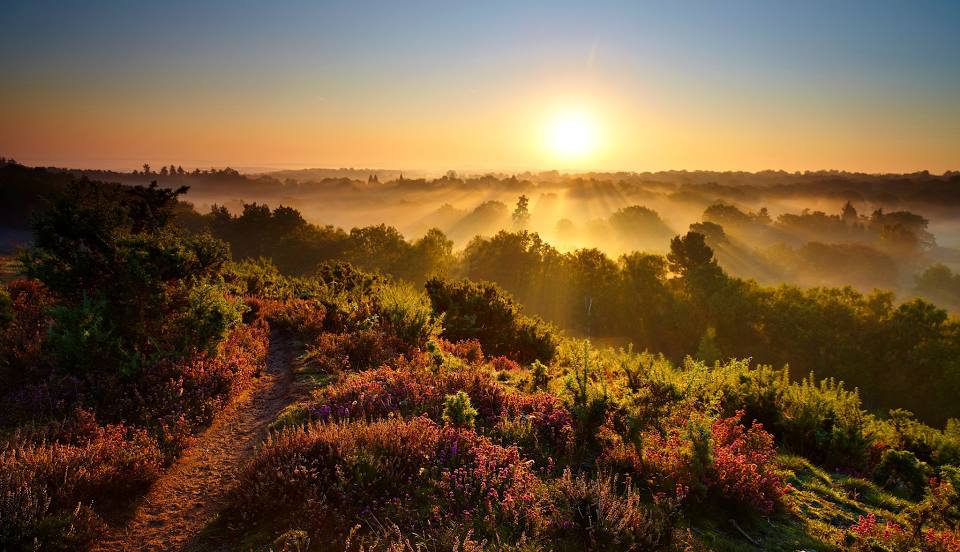 Surrey Hills Area of Outstanding Natural Beauty, Guildford