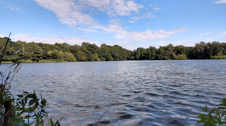 Large Enton Lake, Guildford
