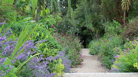 Kilmacurragh Botanic Gardens, 