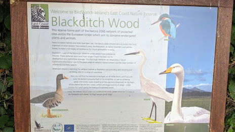 BirdWatch Ireland's East Coast Nature Reserve, 
