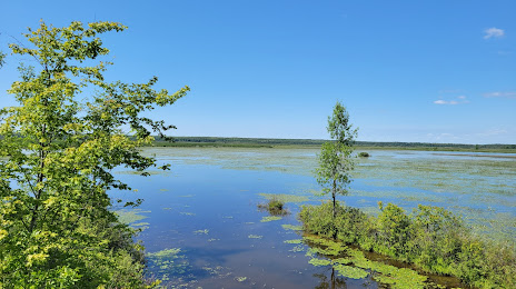 Tiny Marsh Provincial Wildlife Area, 