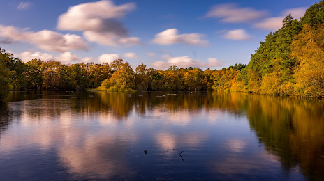 Heath Lake, Wokingham