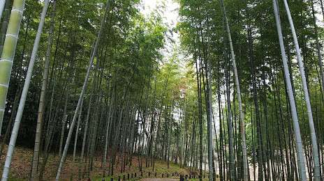 Aichi Prefecture Forest Park, 