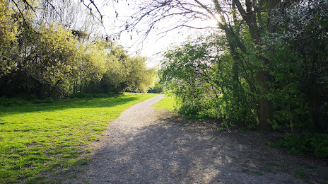 Northlands Park, Basildon