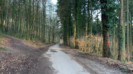 Aachener Wald, 