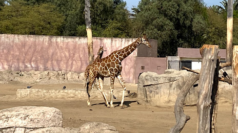Zoo San Juan De Aragon, 