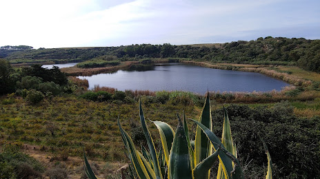 Riserva Naturale Lago Preola e Gorghi Tondi, Campobello di Mazara