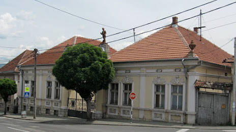 Homeland Museum Knjaževac, Κνιέζεβατς