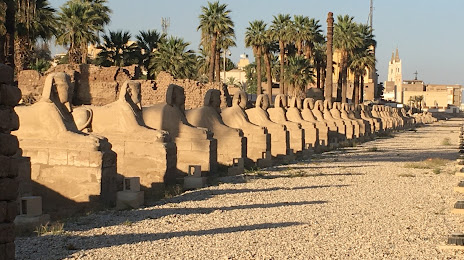 Sphinx Allee, Luxor