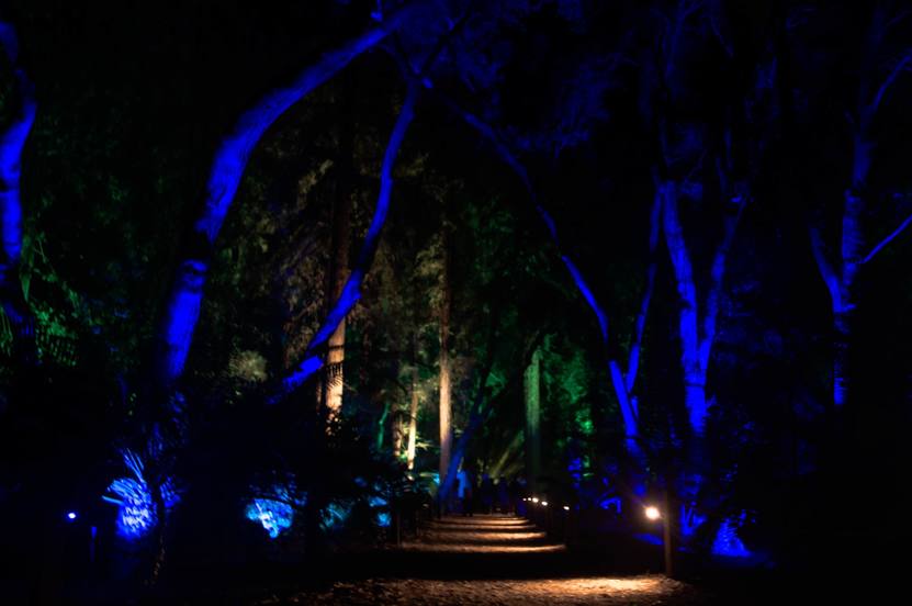 Enchanted: Forest Of Light, La Crescenta-Montrose