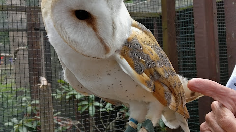 The Owls Trust, Colwyn Bay