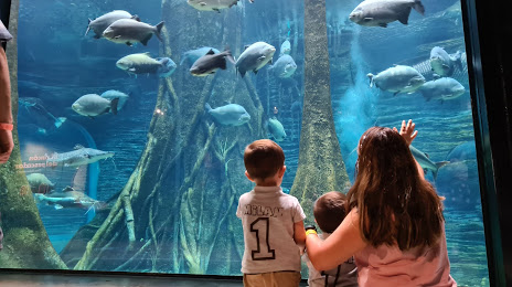Aquarium Medellin (Acuario Explora), 