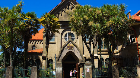 Iglesia San Francisco de Valdivia (Iglesia de San Francisco), 