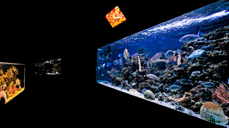 Argentario Aquarium, Monte Argentario