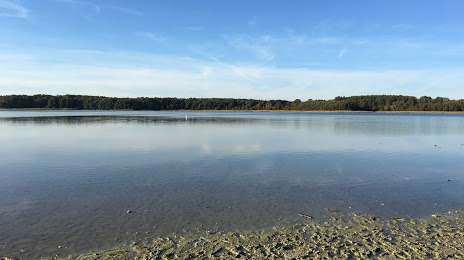 Озеро Гроссер Зеддинер, Потсдам