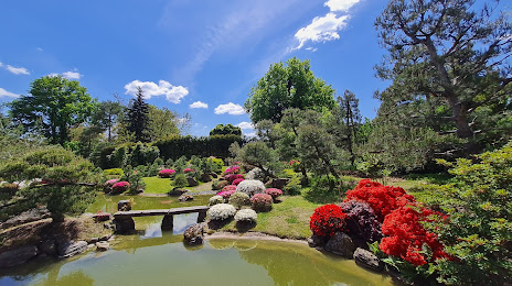 Japanischer Bonsaigarten, 