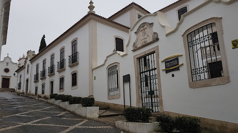 Museu Municipal Carlos Reis, Torres Novas