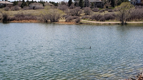 Bingham Lake, The Pinery