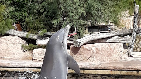 Dolphinarium in the zoo of Nuremberg, 