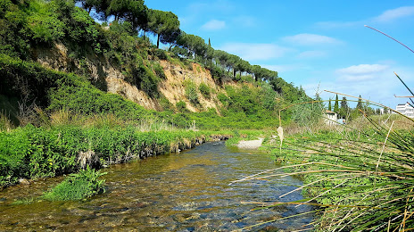 Río Ripoll, Barberà del Vallès