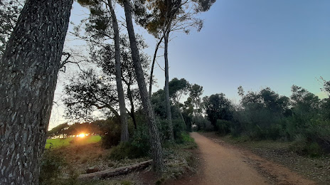 Bosc de Can Deu, Barberà del Vallès