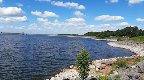 Foremark Reservoir, 