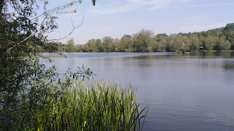 Mapperley Reservoir, 