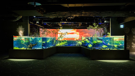 Kawasui Kawasaki Aquarium, 