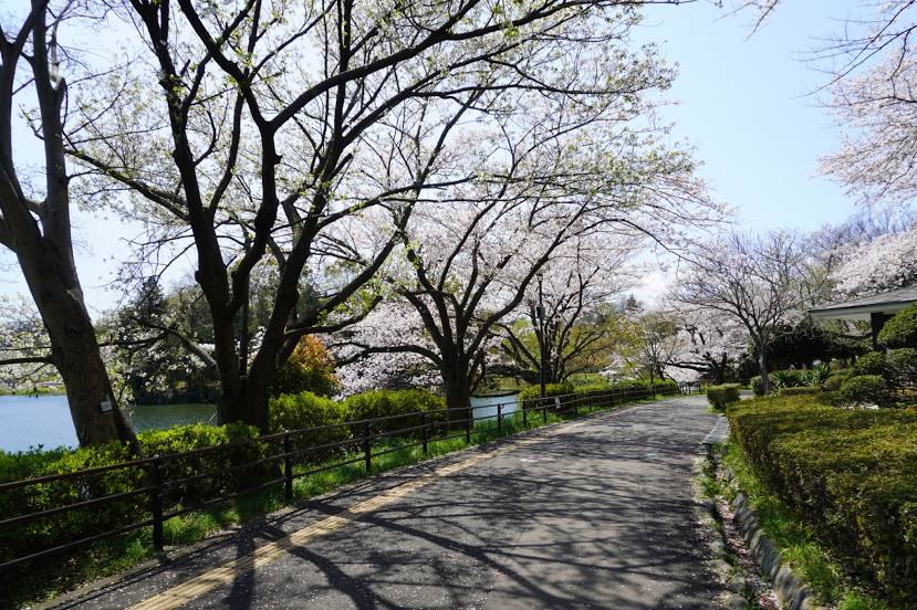 Mitsuike Park, 