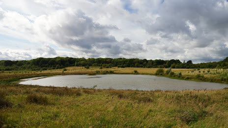 Bubbenhall woods and meadow nature reserve, 