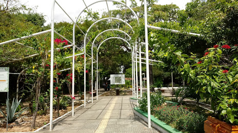 Parque Botânico do Ceará, Fortaleza