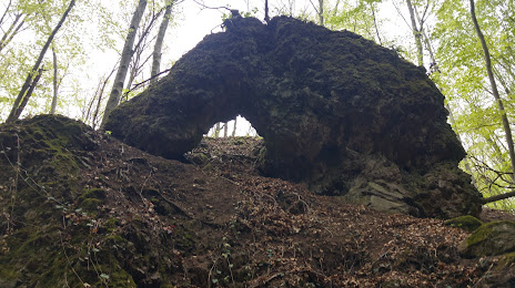 Vidróczki-barlang, Pásztó