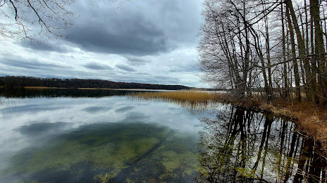 Озеро Дранзер, Витшток