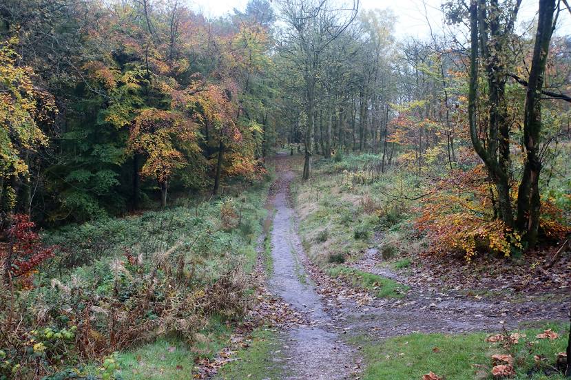 Lickey Hills Country Park, 