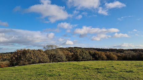 Waseley Hills Country Park, Bromsgrove
