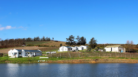 Elgin Ridge Biodynamic Wine Estate, 