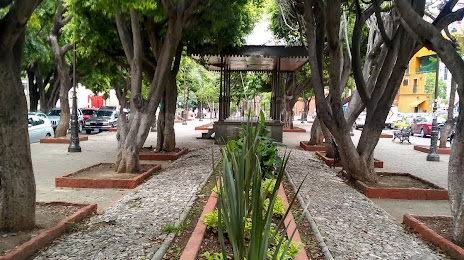 Jardin Embajadoras, Guanajuato