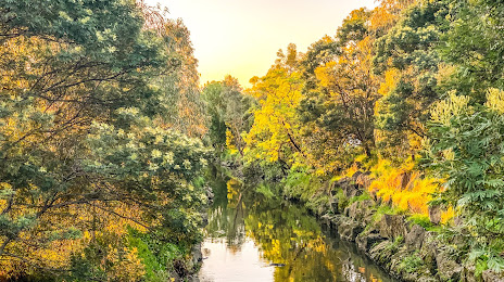 Gardiners Creek, Malvern East