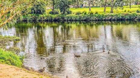 Gardiners Creek, Malvern East